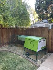 A chicken coop in the corner of a garden