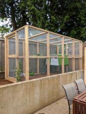 A large enclosure for our chickens with an Eglu Cube inside