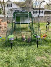 A cube chicken coop and run