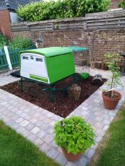 A chicken coop placed on bark chippings in a neat garden