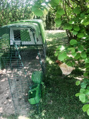 cube chicken coop in a sunny garden with a run and covers attached