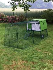 A green chicken coop with a 3m run in garden