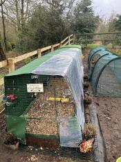 A Eglu Cube chicken coop with extension in a garden.