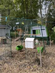 Omlet Eglu Cube Chicken Coop with spacious attached run.