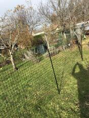 garden with chicken fencing in it