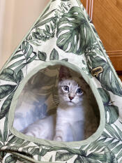 A cat sitting inside of the freestyle cat tipi.