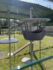 A cat resting in the hammock attached to the outdoor freestyle cat tree.
