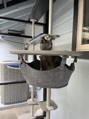 A cat sitting in the grey hammock on the outdoor cat tree.