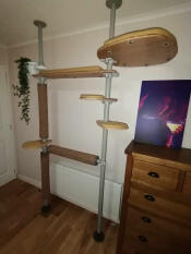 The indoor freestyle cat tree set up with two poles and various accessories.