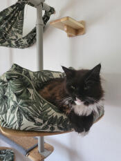 A cat resting in the Secret Garden nest cat bed.