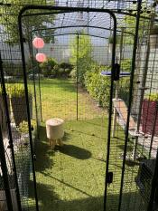 Entrance to the Catio outdoor cat enclosure by Omlet