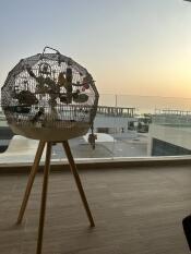 Cream Geo Bird Cage with wooden stand on roof terrace overlooking the sea and a carpark during sunrise.