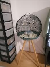 Teal Geo Bird Cage with black mesh on wooden stand.