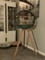 Customer Images for Geo Bird Cage