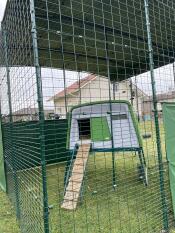 The Eglu Cube chicken coop with a wooden ladder attached.