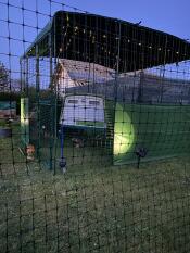 The walk in chicken run with fairy lights attached.