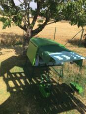 large green cube chicken coop with a run , covers, and grub feeders in a garden