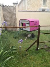 large purple cube chicken coop in a garden