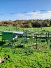 Omlet cube chicken coop with a chicken run in an open garden