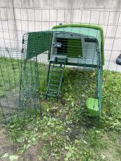 large green Omlet cube chicken coop with run and cover