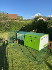 large green chicken coop with a run a cover and a grub feeder