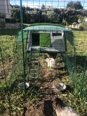 Omlet Green Eglu Cube Large Chicken Coop and Run with Omlet Walk in Chicken Run