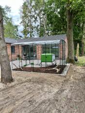 A walk in chicken run and Eglu Cube chicken coop set up in a garden.