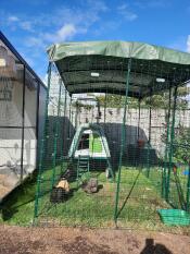 The green Eglu Go Up chicken coop set up in a large walk in chicken run.