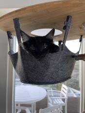 A cat in the hammock of his indoor cat tree