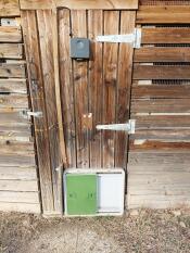 Green Omlet Autodoor mounted on a wooden shed door