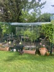 A large walk in chicken run set up in a garden with flower pots next to it.