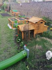 A system of rabbit tunnels connecting several enclosures