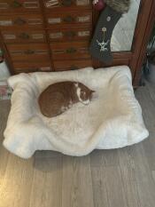 Cat curled up asleep on Luxury Faux Sheepskin Cat Blanket on top of Cat Bolster Bed.