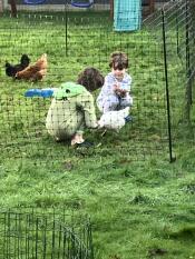 Two children spending time with their chickens surrounded by the Omlet fencing