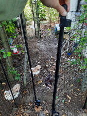 A hand opening the Omlet chicken fencing.