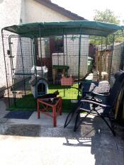 Catio Outdoor Cat Run set up in courtyard, with black cat inside and a green heavy duty run cover on roof of the enclosure