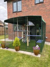 Outdoor Omlet Catio Cat Run Extensions 