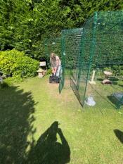 A person transferring a cat to a catio through a porch