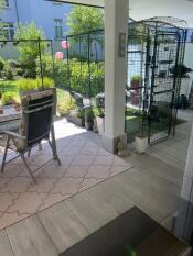 The catio porch attached to the outdoor cat run