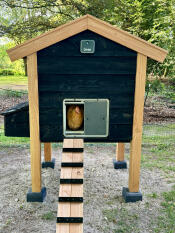 The smart automatic chicken coop door installed on a wooden chicken coop.