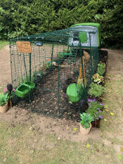 The Eglu Cube chicken coop set up in a garden.