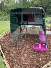 The purple Eglu Cube chicken coop set up in a garden.