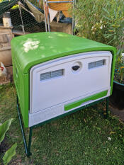 The back of the eglu cube chicken coop