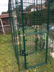 The closed door of a green walk in run in a garden