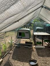 Green Eglu Cube inside a large wire enclosure.