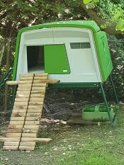 Green Eglu Cube chicken coop with handcrafted wooden ramp attached to entrance