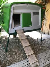 A green Eglu Cube with a wooden step attached to the entrance.