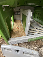 The inside of a green Eglu Cube chicken coop.