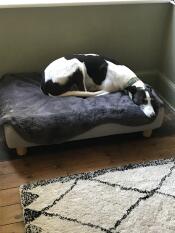 A dog sleeping in the Topology dog bed with sheepskin topper.