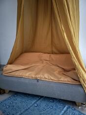 Yellow canopy draped over Topology Dog Bed with yellow beanbag topper.